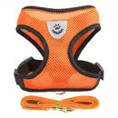 Coleira peitoral para cães.