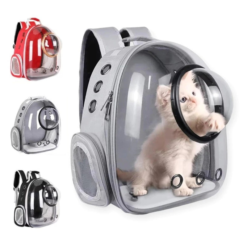 Mochila transparente com visão panorâmica para transporte de animais de estimação, ideal para cães e gatos – confortável e prática.