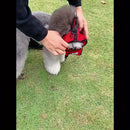 Coleira peitoral para cães.