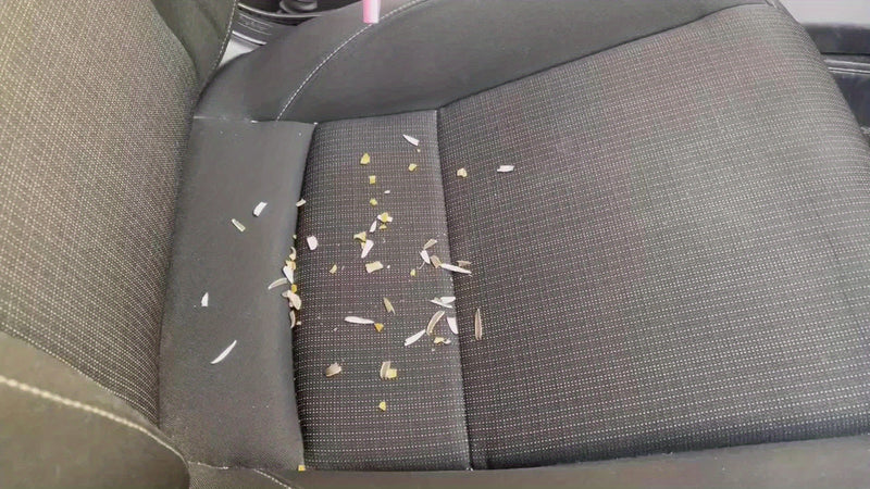 Aspirador de pó portátil para carro, 12V, com fio, perfeito para remover pelos de animais de estimação e pelos de gato.