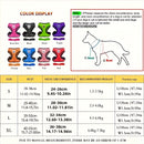 Coleira peitoral para cães.