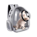 Mochila transparente com visão panorâmica para transporte de animais de estimação, ideal para cães e gatos – confortável e prática.